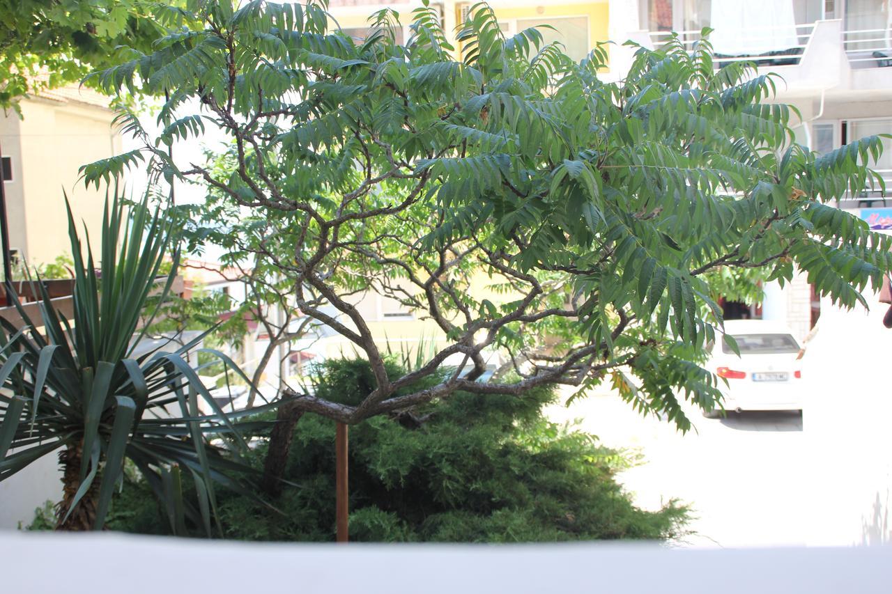 Yankov'S House Ξενοδοχείο Σωζόπολη Εξωτερικό φωτογραφία